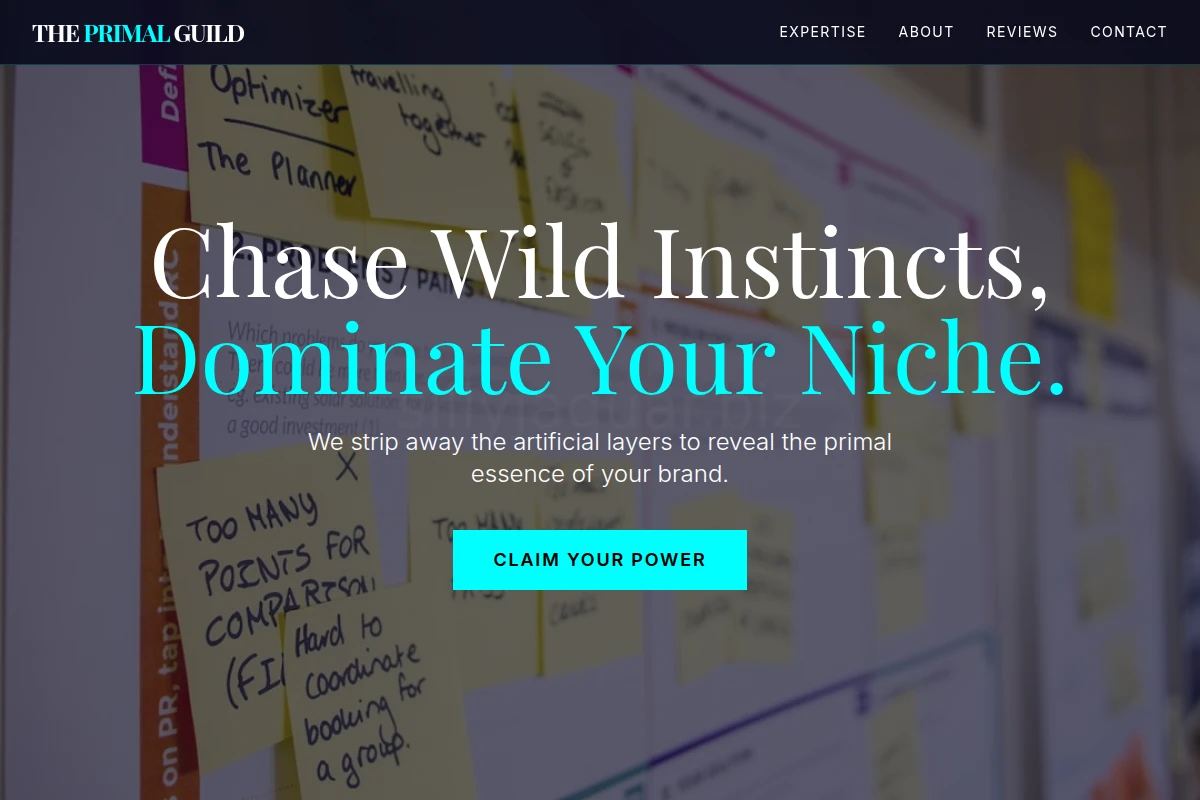 Soul Brand Strategy