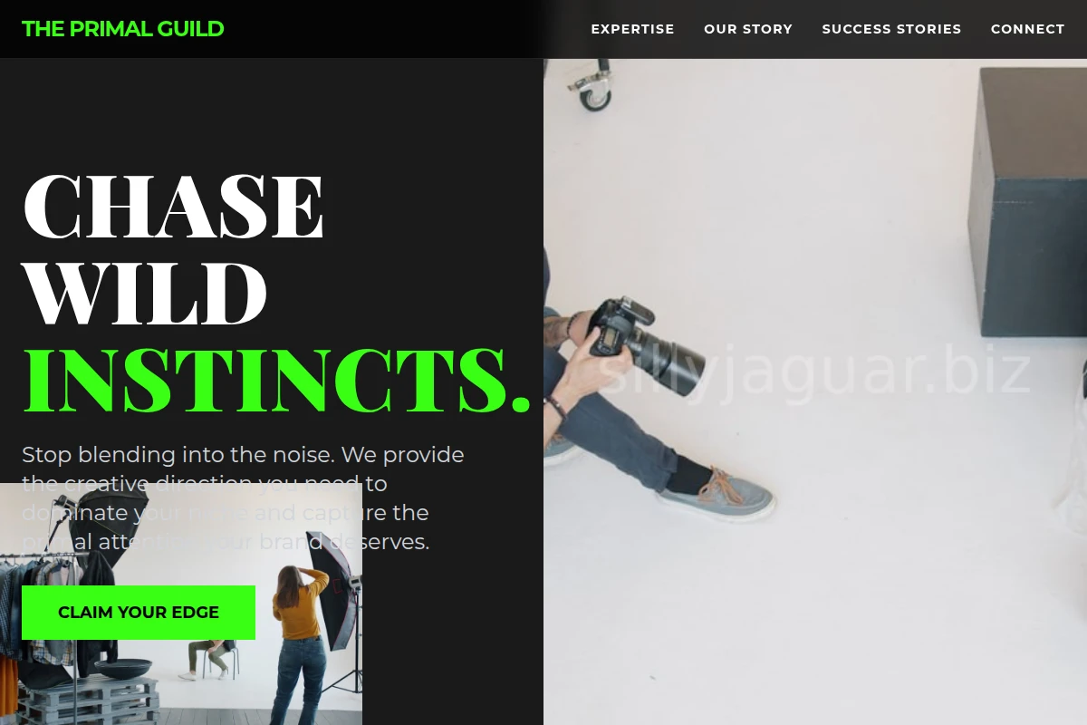 Safari Creative Direction