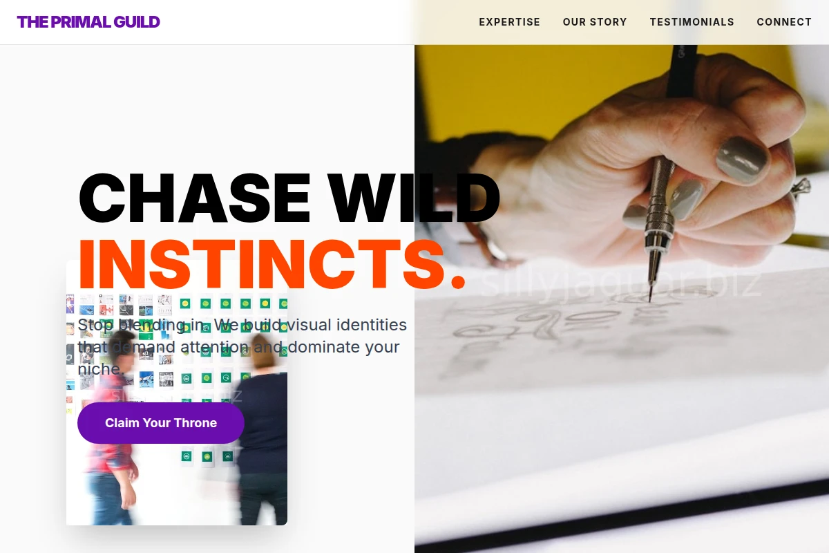 Bold Design Studio